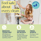 Multi Purpose Tablet & Bathroom Cleaner Combo